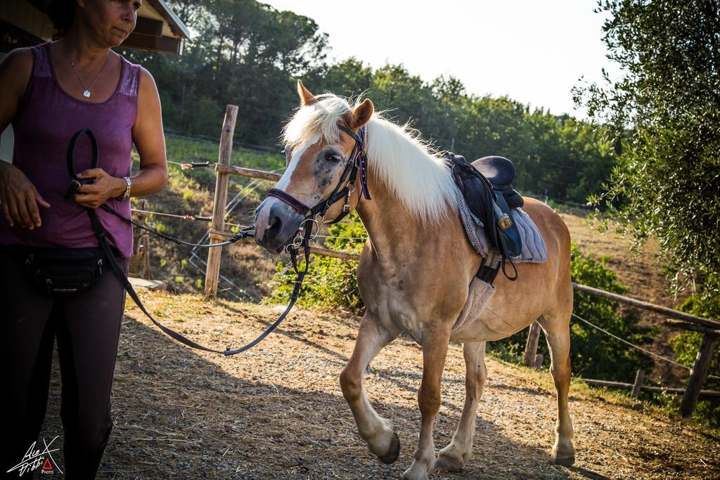 Podere Dell'Anselmo Villa Монтеспертоли Екстериор снимка