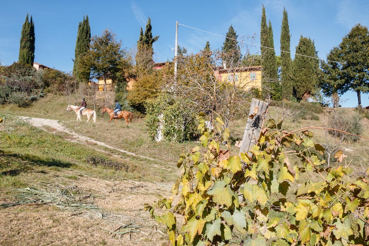 Podere Dell'Anselmo Villa Монтеспертоли Екстериор снимка